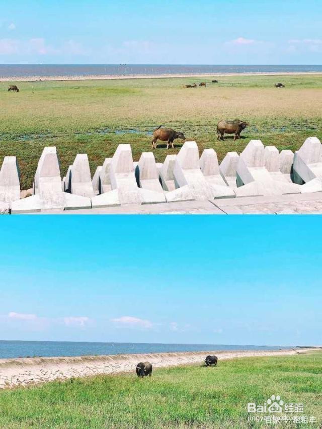 上海春游可以去哪里玩？