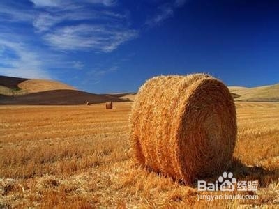 秋天国内游的几个绝佳去处！