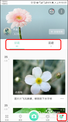 使用识花APP【形色】识别各种植物、花草、果蔬