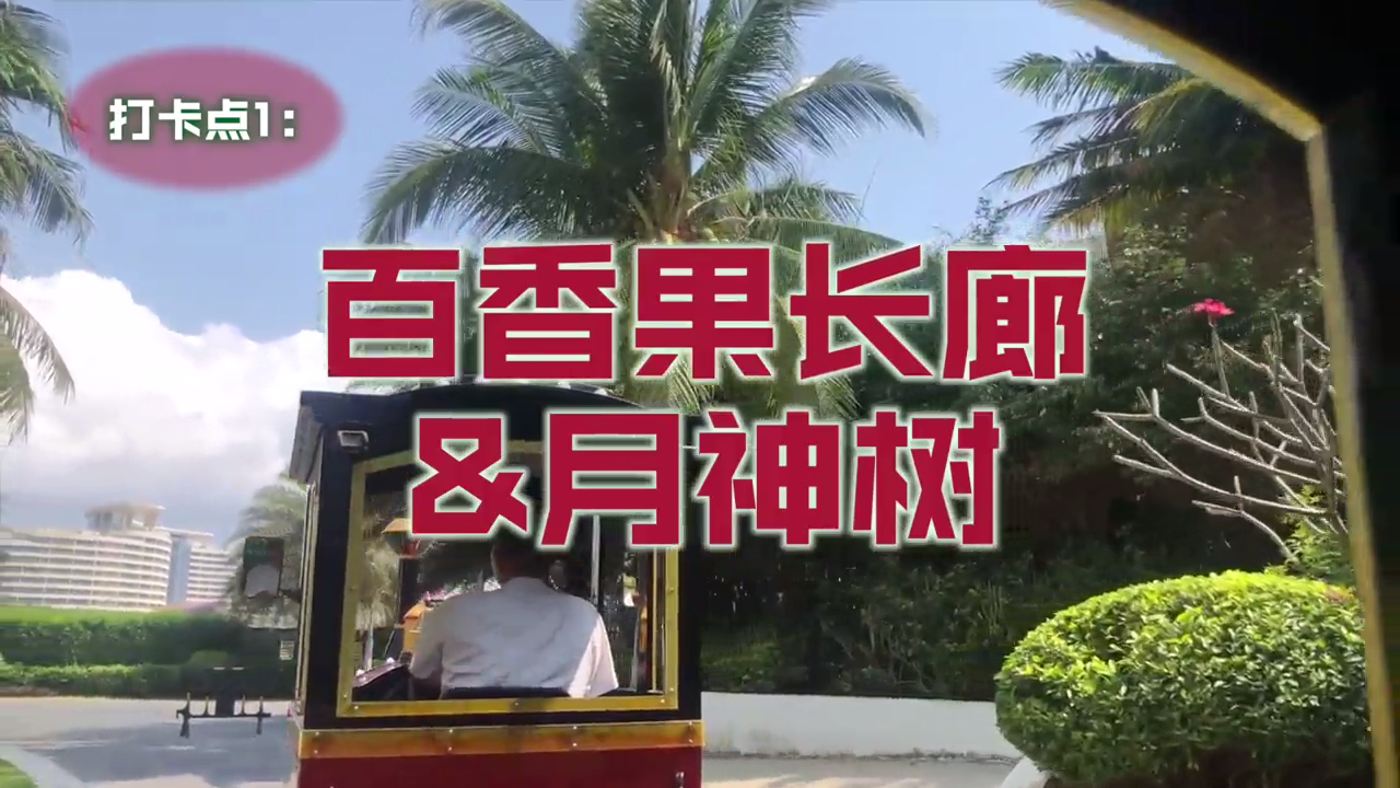 去威斯汀旅游到哪里玩？