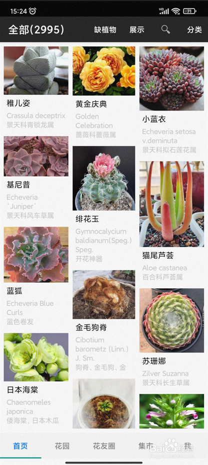 【爱花草】设置首页花卉展示的样式