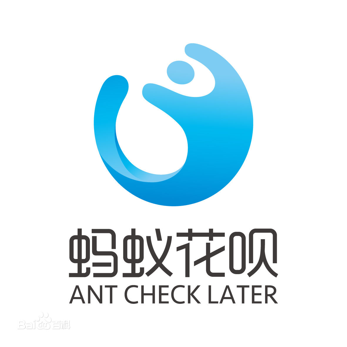 淘宝网购物使用花呗付款是什么意思