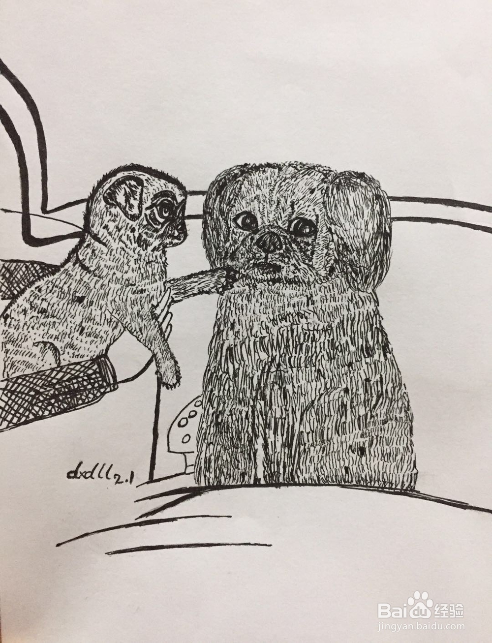 dxdll手绘之小狗