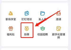 安卓版钉钉如何查看个人勋章
