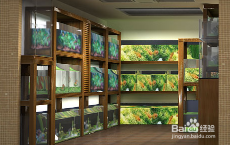 如何开好一家园艺店（实体店）?