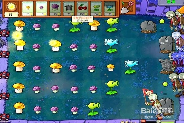 植物大战僵尸通全关的攻略。(十四)