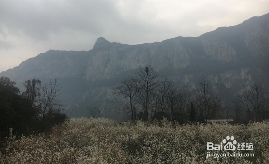 贵阳附近有什么好玩的景点景区