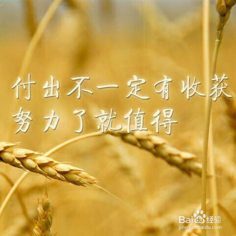 2017年，年薪20万