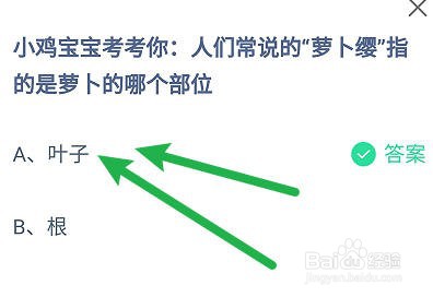 人们常说的“萝卜缨”指的是萝卜的哪个部位
