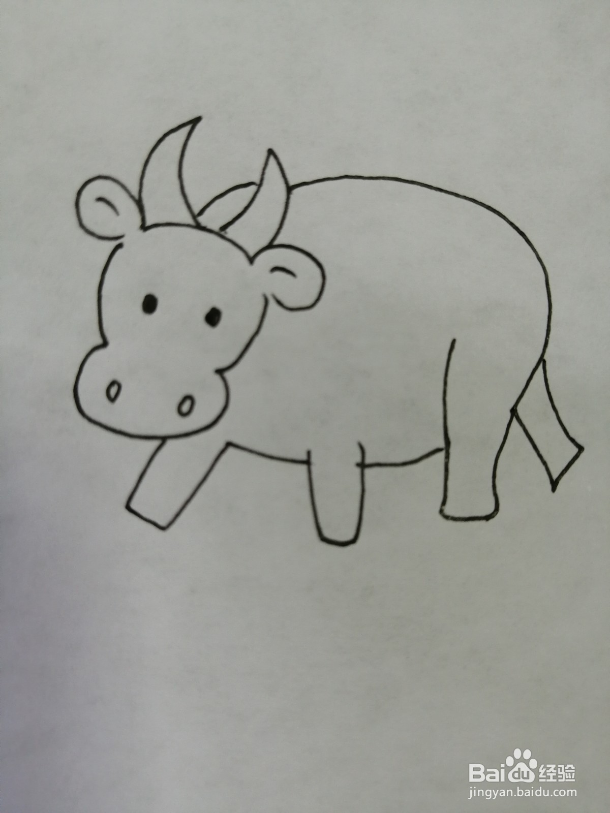 可爱的小牛怎么画