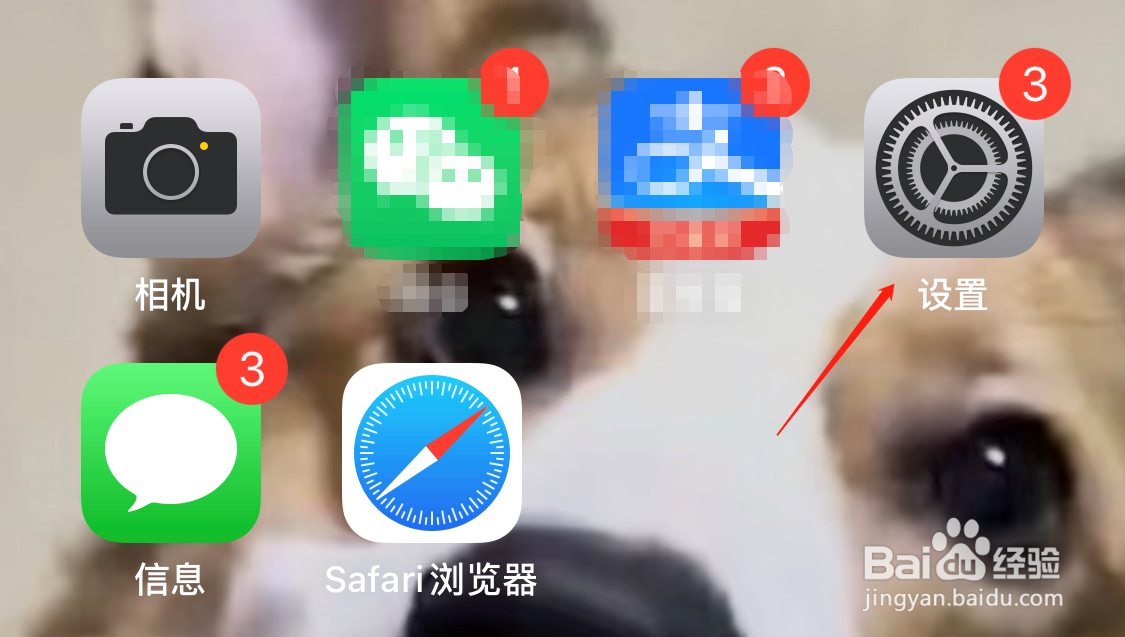 苹果11拍照咔嚓声怎么开启