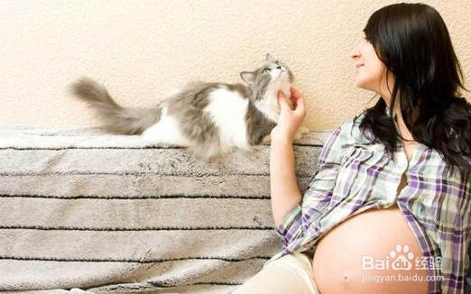 对很多养宠物家庭来说，怀孕了能不能养宠物？