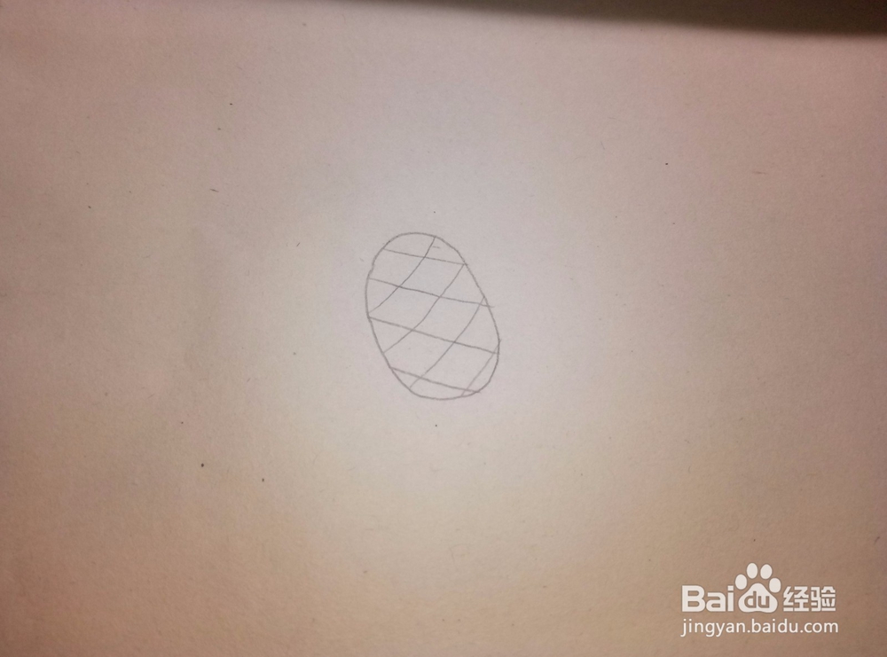 简笔画之——菠萝