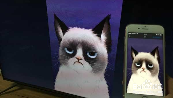 微鲸电视D系列 43D怎么投屏?三种方法适用