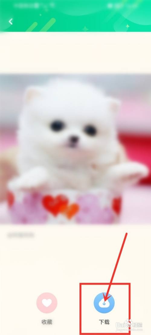 哈屏壁纸app怎么下载头像图片