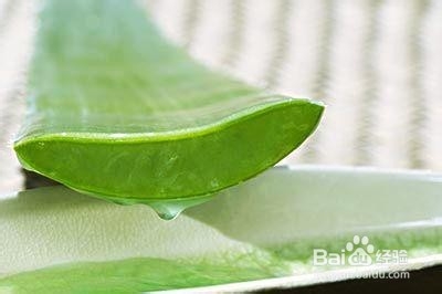 芦荟面膜怎么做 几种芦荟面膜的做法