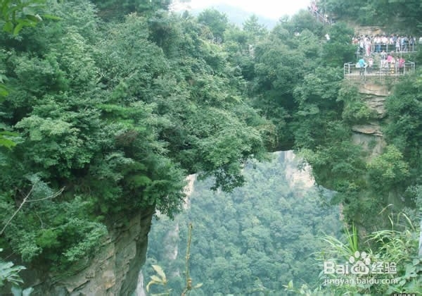 焦作到张家界自驾游