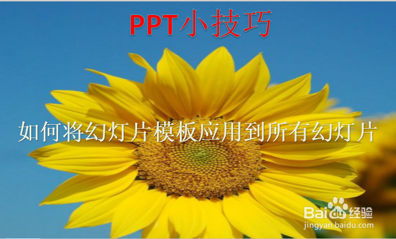 <b>如何将幻灯片模板快速应用到所有幻灯片</b>