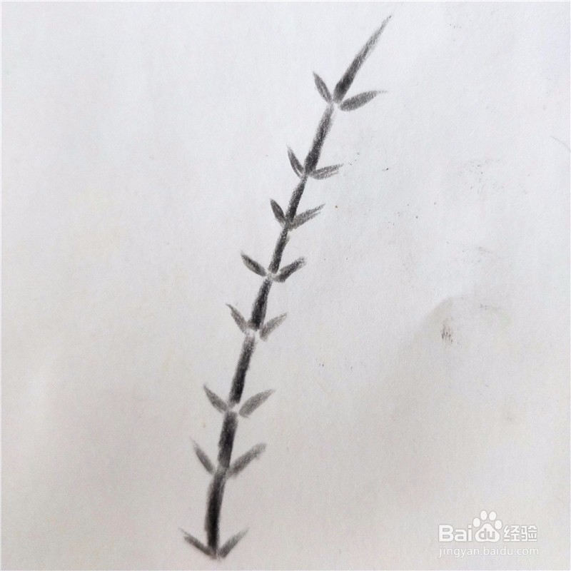 怎么画竹子的简笔画？