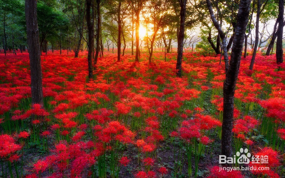旅行前需做什么准备