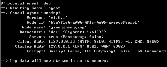 Consul学习之KV Data键值对数据_06