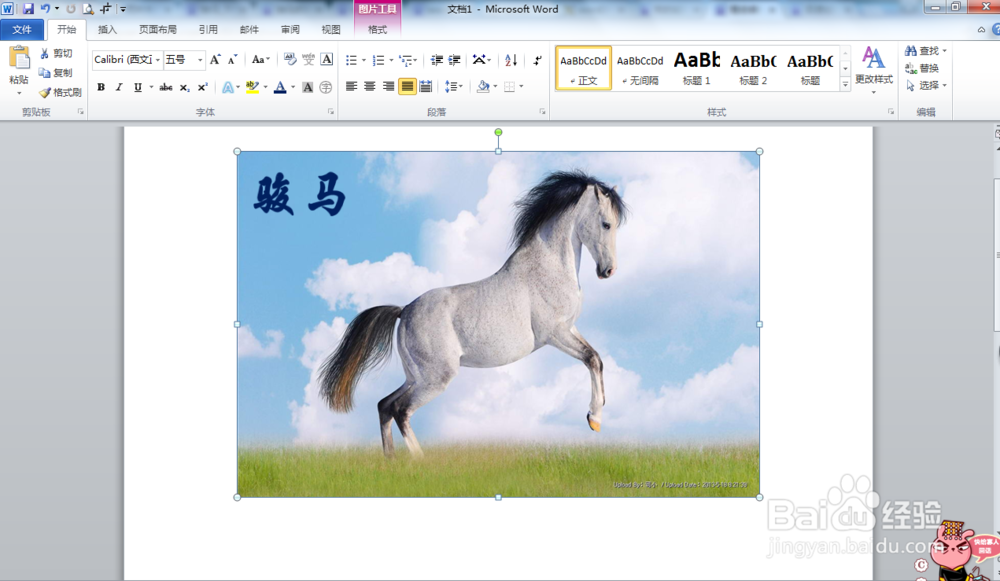 如何给word文档中图片添加文字