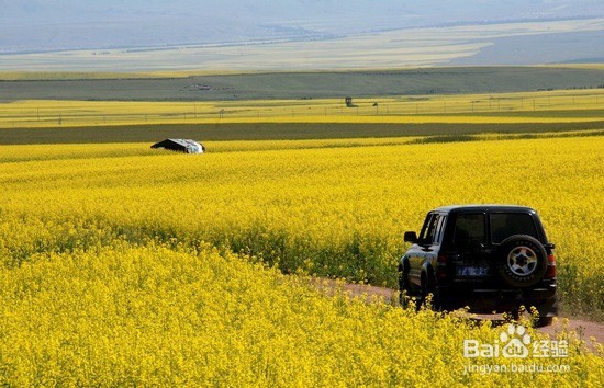 自助游攻略（安全与预防）