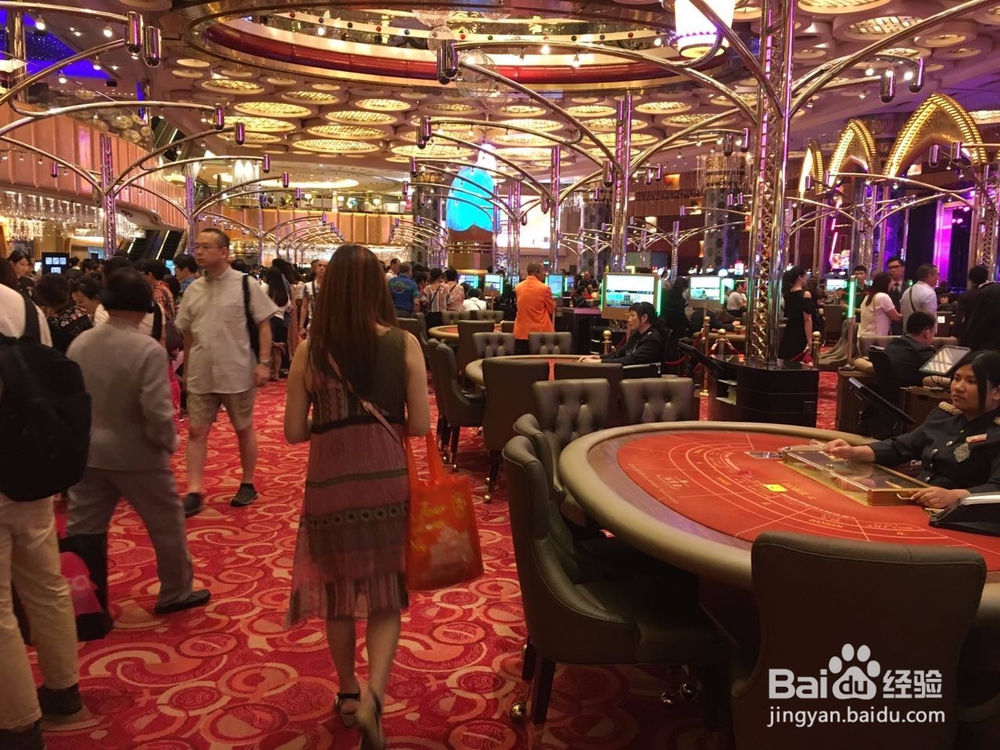 从深圳蛇口码头怎么去澳门?