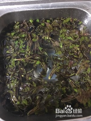 食补佳品有故事的腌香椿的做法