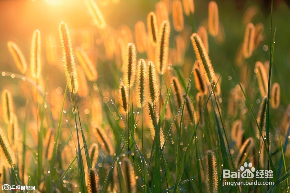 怎么样与朋友相处？