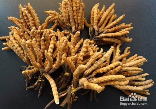 冬虫夏草怎么保存 冬虫夏草发霉怎么办