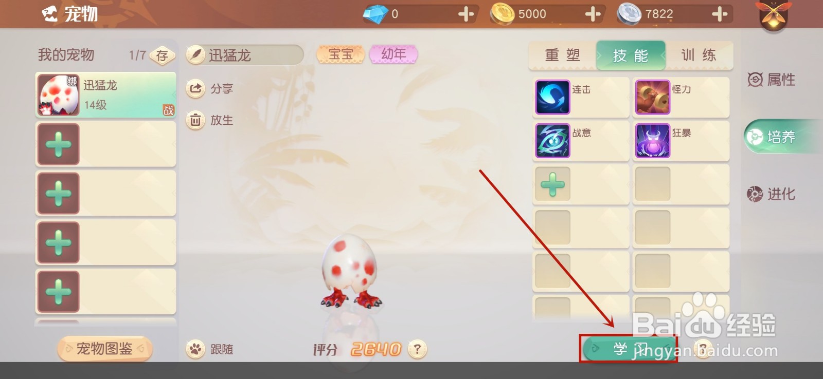 梦想新大陆宠物怎么学习技能