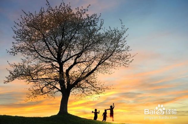 在摄影里是技术重要还是审美重要？