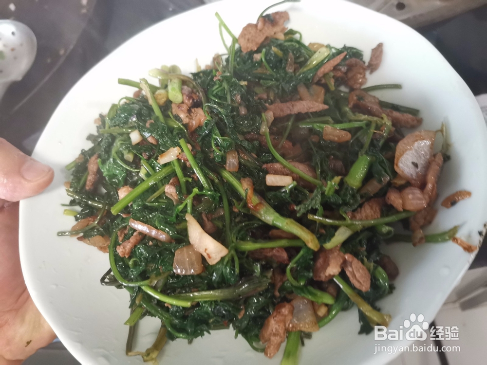 猪肉丝炒香菜段