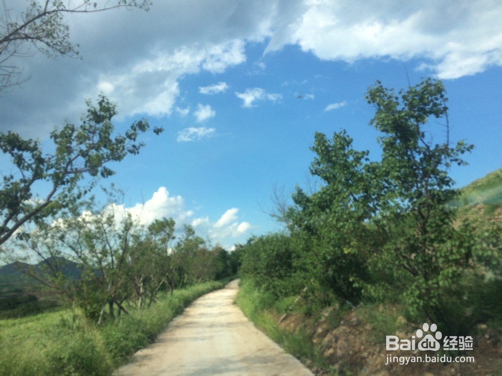 辽金古城--再现锦州辽金时期尘封的记忆