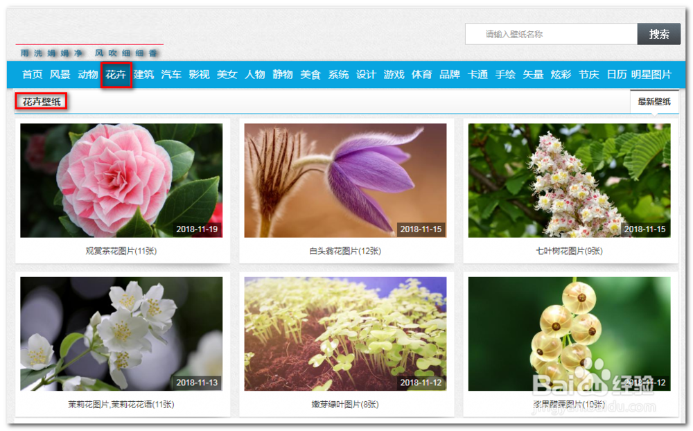 如何用IDM批量下载壁纸