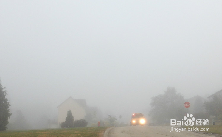 山区夜间开车遇到大雾怎么办？