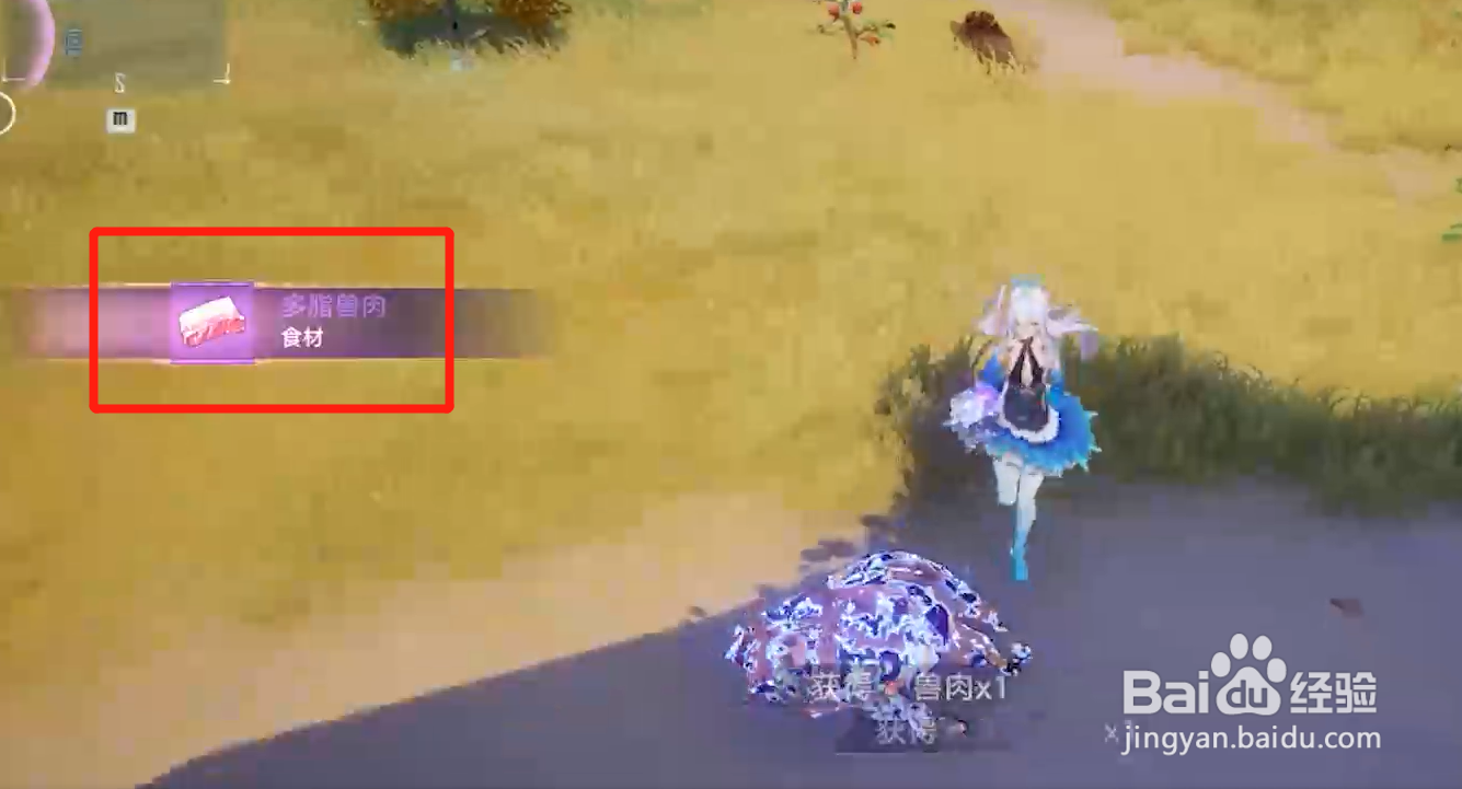 幻塔野猪哪里多