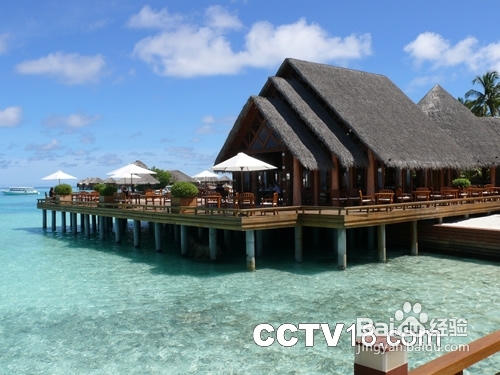 走走停停马代旅游