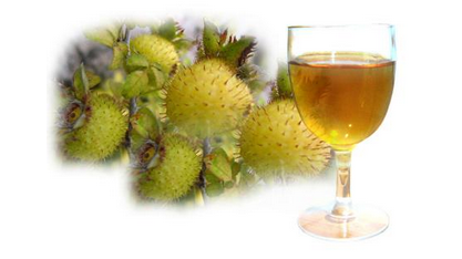 野刺梨营养酒的研制原理