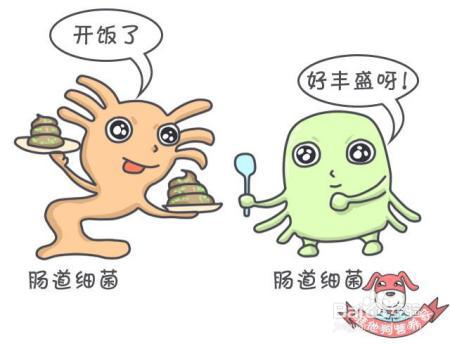 肚子胀气，“屁”大点儿事，忍忍就过去了？