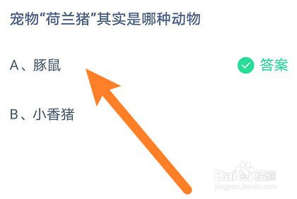 蚂蚁庄园：宠物