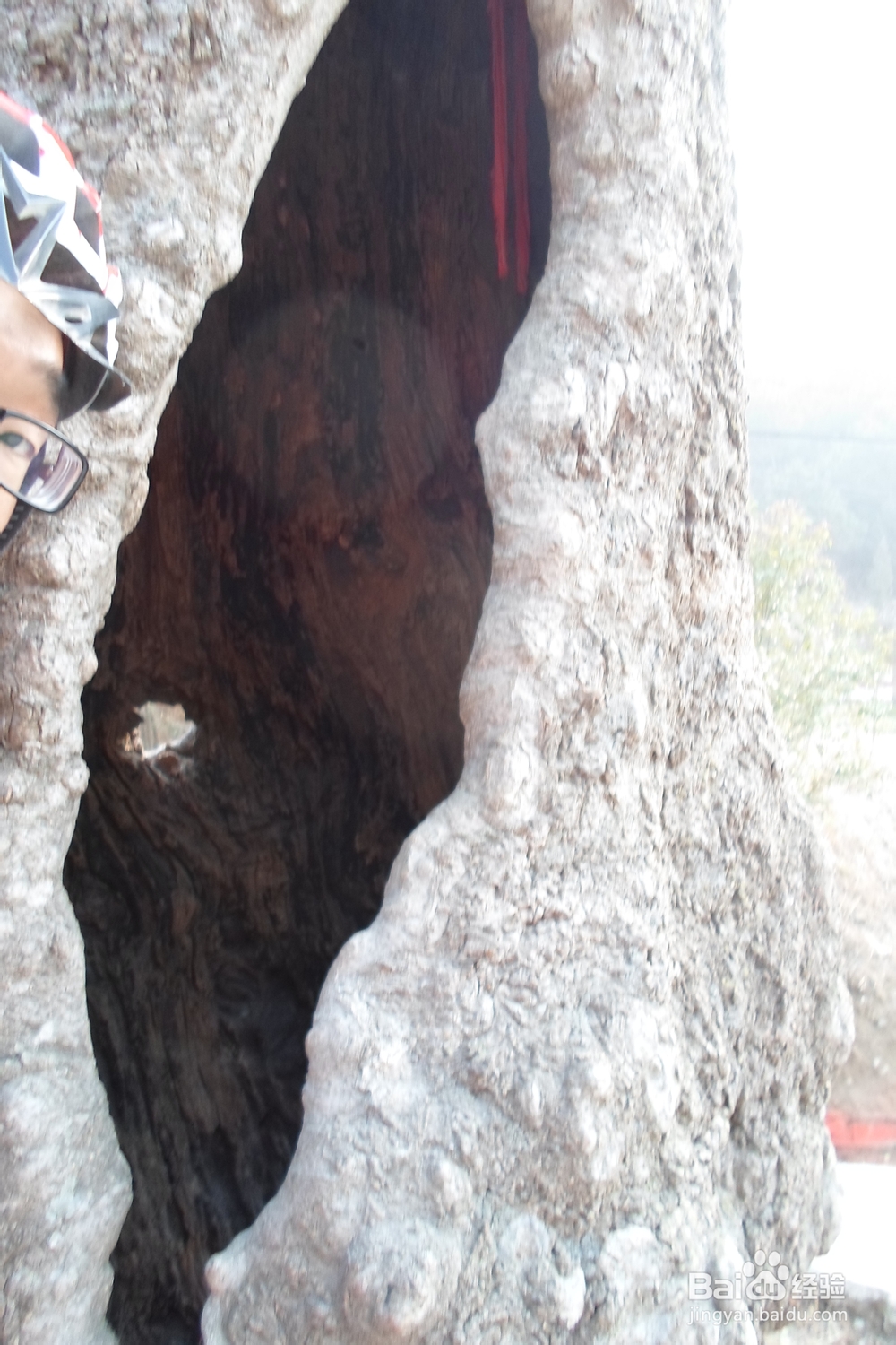 骑行中国：[14]合肥—黄冈