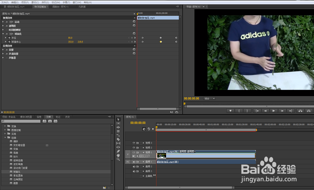 球面化效果premiere