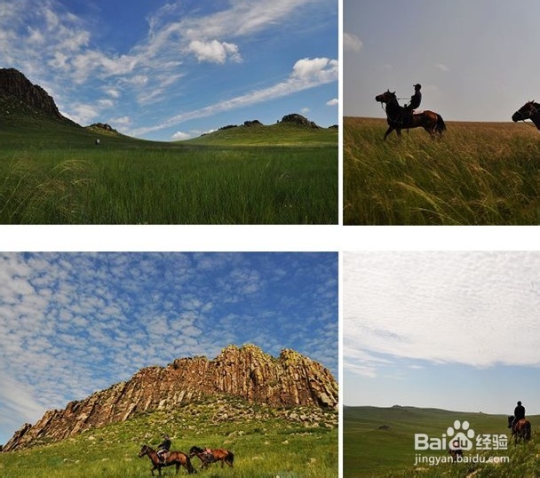 端午我们一起去呼伦贝尔草原、骑马驰骋大草原