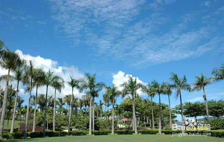 和孩子一起学作文——写好“蓝天星空”
