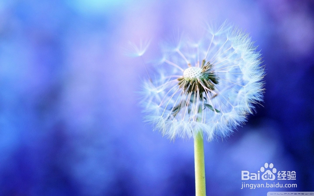 怎么去除青春痘印