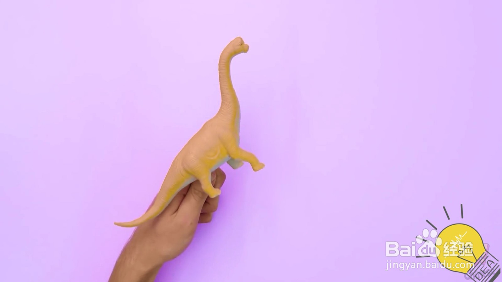 恐龙厕所挂纸，简单方便还实用