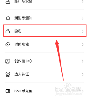 soul相册权限在哪开
