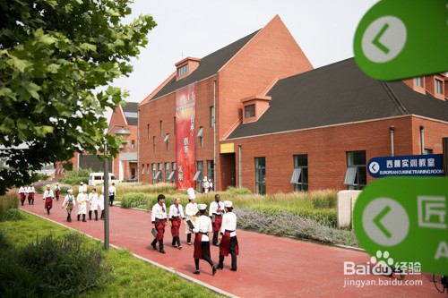 学厨师能不能好找工作